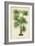 Palm of the Tropics IV-Horto Van Houtteano-Framed Premium Giclee Print