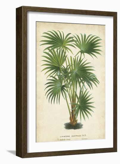 Palm of the Tropics IV-Horto Van Houtteano-Framed Premium Giclee Print