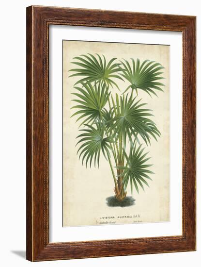 Palm of the Tropics IV-Horto Van Houtteano-Framed Premium Giclee Print