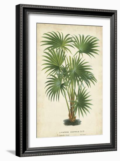 Palm of the Tropics IV-Horto Van Houtteano-Framed Premium Giclee Print