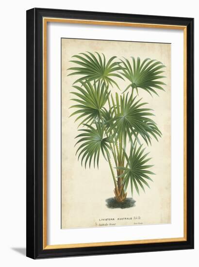 Palm of the Tropics IV-Horto Van Houtteano-Framed Premium Giclee Print