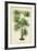 Palm of the Tropics IV-Horto Van Houtteano-Framed Art Print