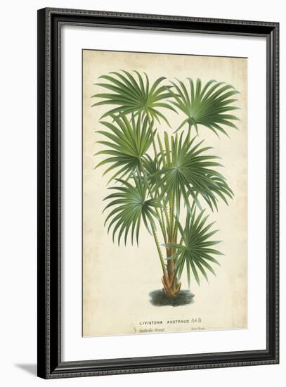 Palm of the Tropics IV-Horto Van Houtteano-Framed Art Print