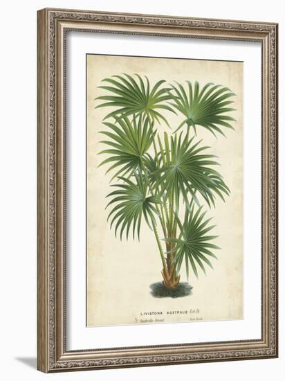 Palm of the Tropics IV-Horto Van Houtteano-Framed Art Print