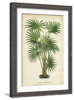 Palm of the Tropics IV-Horto Van Houtteano-Framed Art Print
