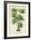 Palm of the Tropics IV-Horto Van Houtteano-Framed Art Print