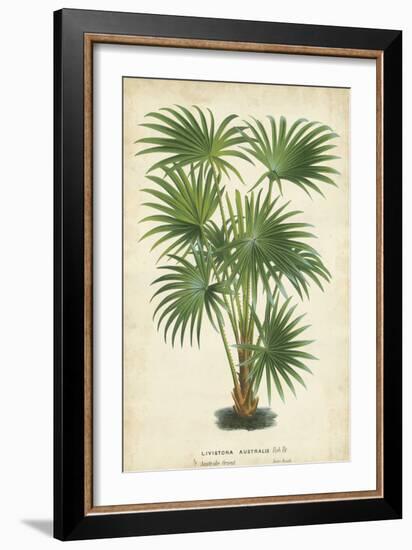 Palm of the Tropics IV-Horto Van Houtteano-Framed Art Print