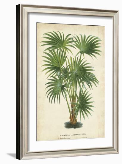 Palm of the Tropics IV-Horto Van Houtteano-Framed Art Print