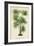 Palm of the Tropics IV-Horto Van Houtteano-Framed Art Print