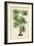 Palm of the Tropics IV-Horto Van Houtteano-Framed Art Print