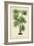 Palm of the Tropics IV-Horto Van Houtteano-Framed Art Print
