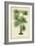 Palm of the Tropics IV-Horto Van Houtteano-Framed Art Print