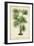 Palm of the Tropics IV-Horto Van Houtteano-Framed Art Print