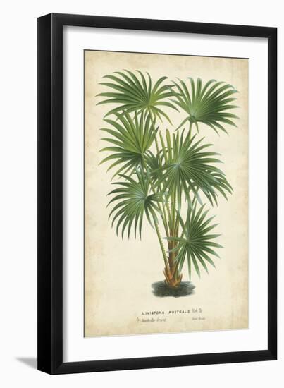 Palm of the Tropics IV-Horto Van Houtteano-Framed Art Print