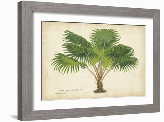 Palm of the Tropics V-Horto Van Houtteano-Framed Art Print