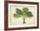 Palm of the Tropics V-Horto Van Houtteano-Framed Art Print