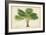 Palm of the Tropics V-Horto Van Houtteano-Framed Art Print