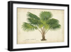 Palm of the Tropics V-Horto Van Houtteano-Framed Art Print