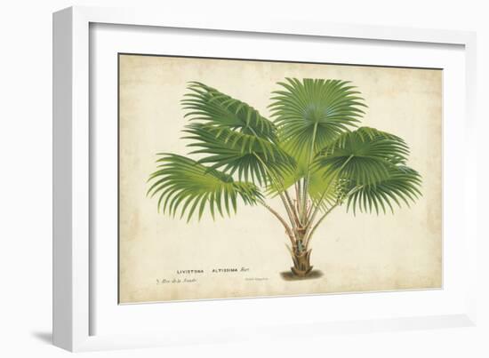 Palm of the Tropics V-Horto Van Houtteano-Framed Art Print