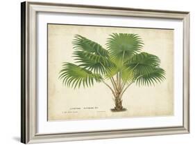 Palm of the Tropics V-Horto Van Houtteano-Framed Art Print