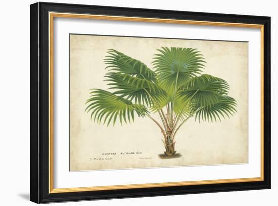 Palm of the Tropics V-Horto Van Houtteano-Framed Art Print