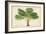 Palm of the Tropics V-Horto Van Houtteano-Framed Art Print