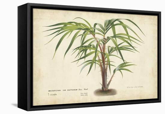 Palm of the Tropics VI-Horto Van Houtteano-Framed Stretched Canvas