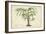 Palm of the Tropics VI-Horto Van Houtteano-Framed Art Print