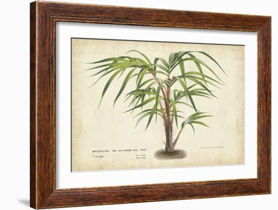 Palm of the Tropics VI-Horto Van Houtteano-Framed Art Print