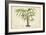 Palm of the Tropics VI-Horto Van Houtteano-Framed Art Print