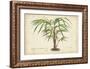 Palm of the Tropics VI-Horto Van Houtteano-Framed Art Print