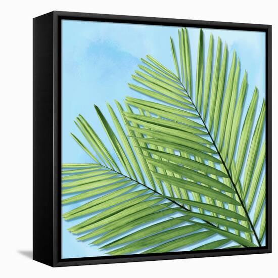 Palm on Blue I-Mia Jensen-Framed Stretched Canvas