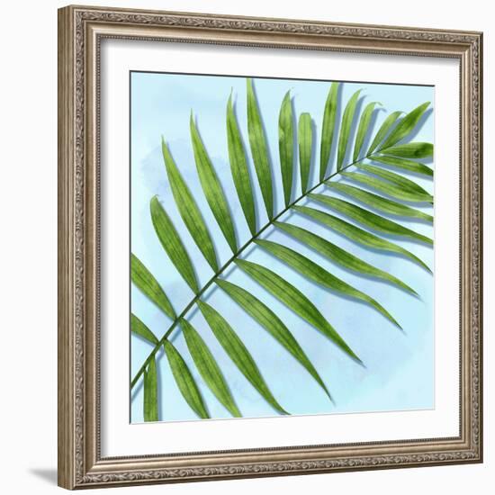 Palm on Blue II-Mia Jensen-Framed Art Print