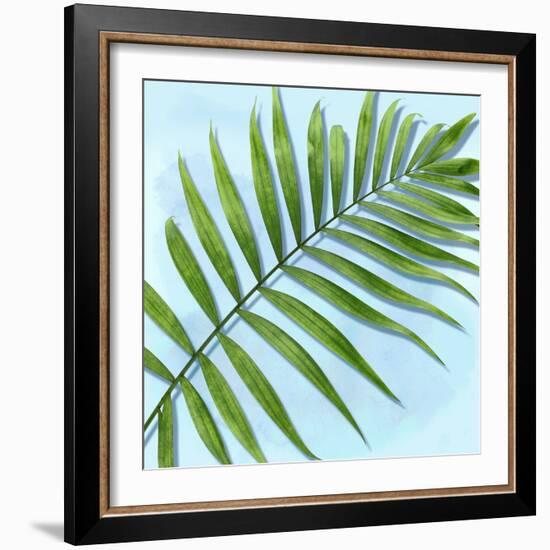 Palm on Blue II-Mia Jensen-Framed Art Print