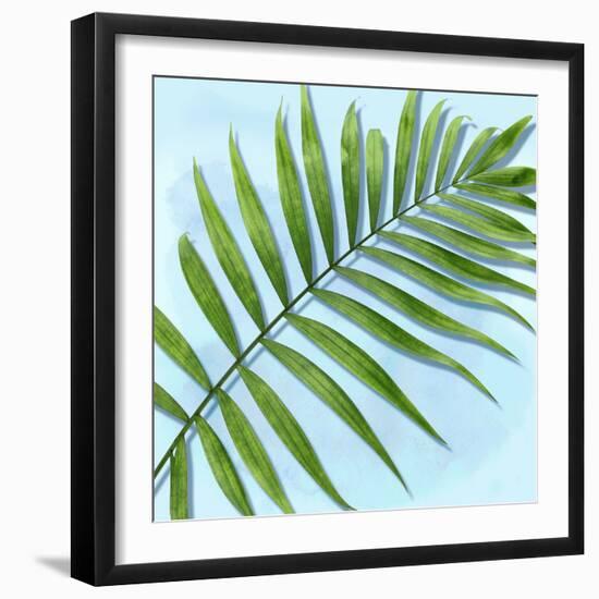 Palm on Blue II-Mia Jensen-Framed Art Print