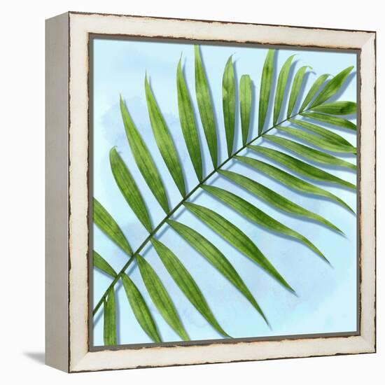 Palm on Blue II-Mia Jensen-Framed Stretched Canvas