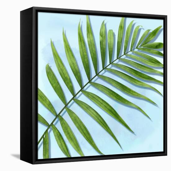 Palm on Blue II-Mia Jensen-Framed Stretched Canvas