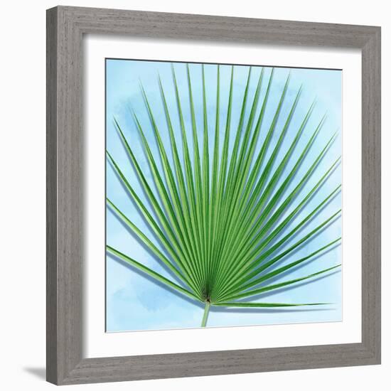 Palm on Blue III-Mia Jensen-Framed Art Print