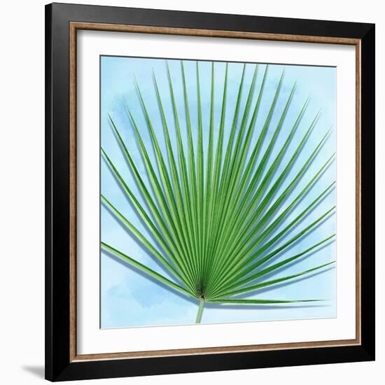 Palm on Blue III-Mia Jensen-Framed Art Print