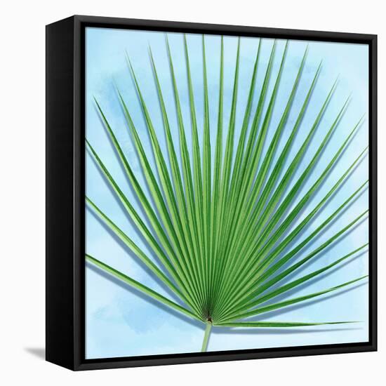 Palm on Blue III-Mia Jensen-Framed Stretched Canvas