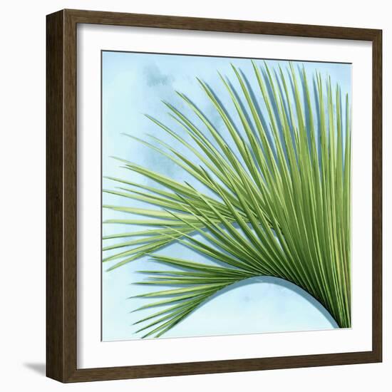 Palm on Blue IV-Mia Jensen-Framed Art Print