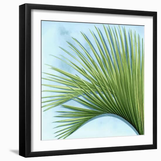 Palm on Blue IV-Mia Jensen-Framed Art Print