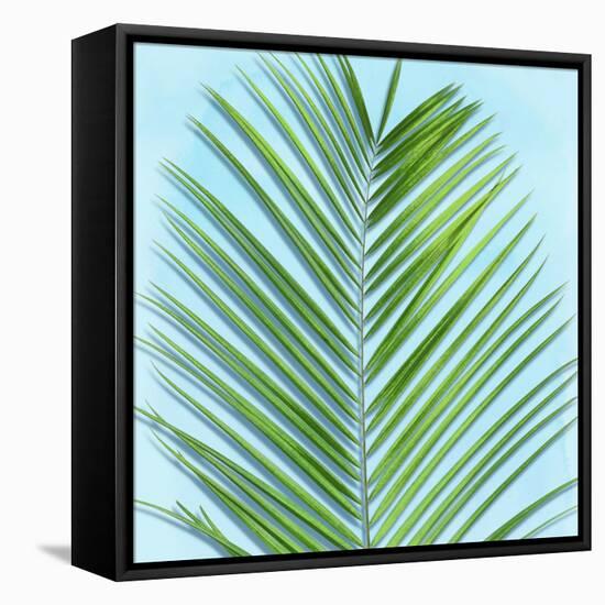 Palm on Blue V-Mia Jensen-Framed Stretched Canvas