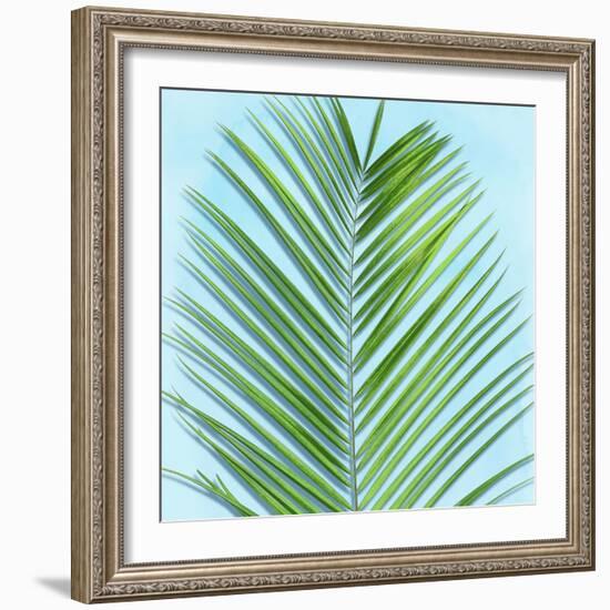 Palm on Blue V-Mia Jensen-Framed Art Print