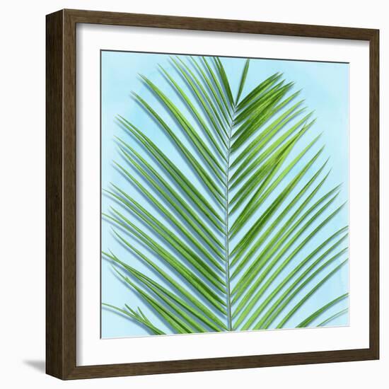 Palm on Blue V-Mia Jensen-Framed Art Print