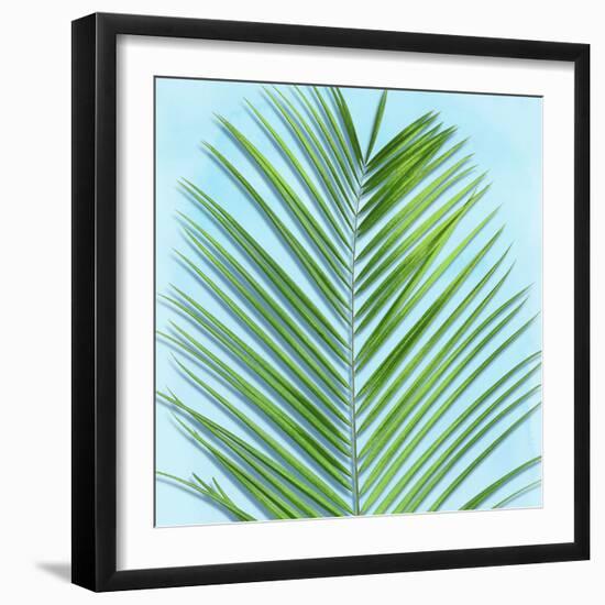 Palm on Blue V-Mia Jensen-Framed Art Print