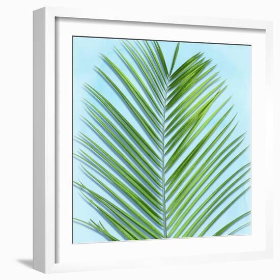 Palm on Blue V-Mia Jensen-Framed Art Print