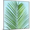 Palm on Blue V-Mia Jensen-Mounted Art Print