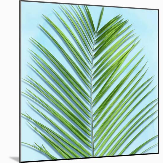 Palm on Blue V-Mia Jensen-Mounted Art Print