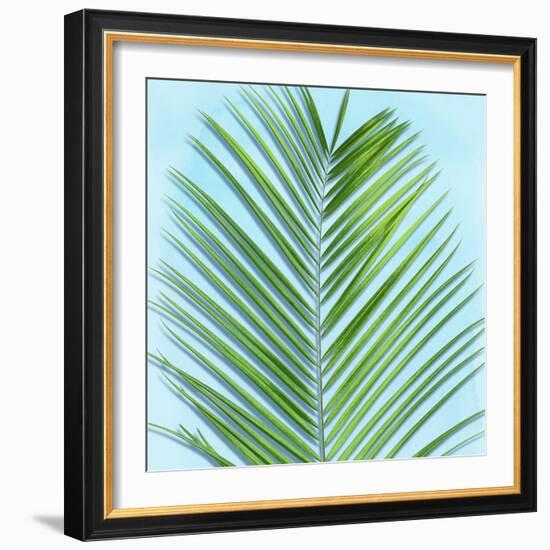 Palm on Blue V-Mia Jensen-Framed Art Print